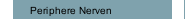 Periphere Nerven