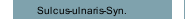 Sulcus-ulnaris-Syn.