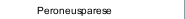 Peroneusparese