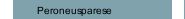 Peroneusparese