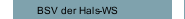 BSV der Hals-WS