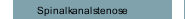 Spinalkanalstenose